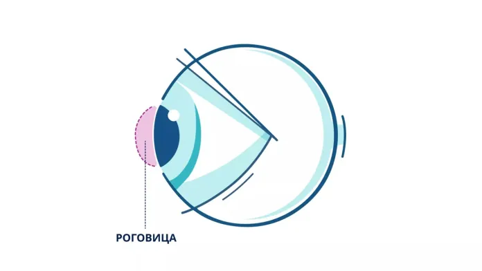 Роговица