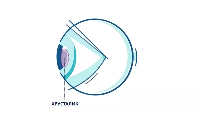 Хрусталик